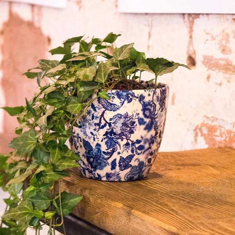 Classic beauty: Large Blue Flower Pots - Day Nursery