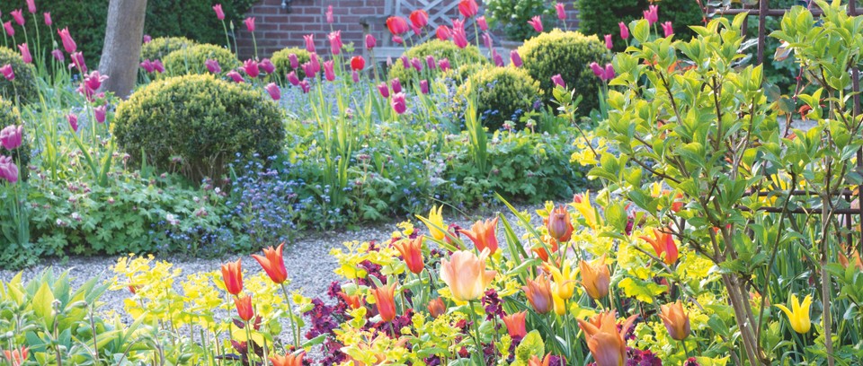 spring bulb garden layout