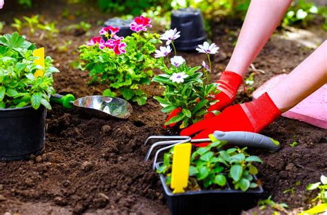 Why You Should Develop Gardening Skills - Day Nursery