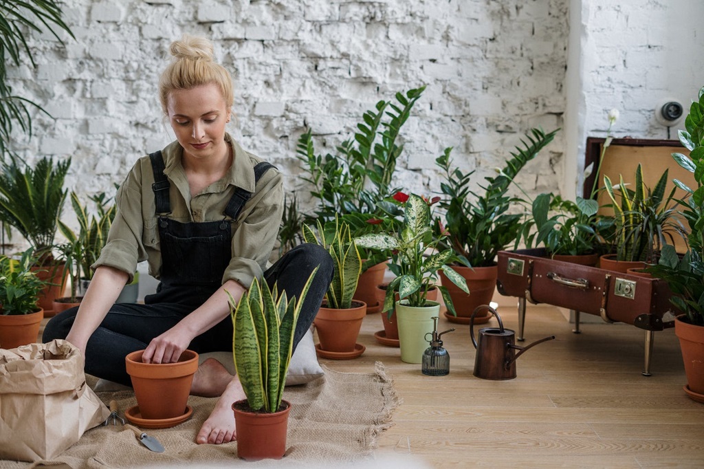 Choosing the Perfect DIY Indoor Garden System