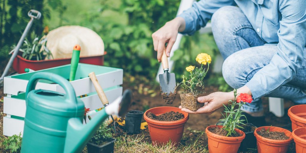 The Best Hand Garden Tools for Weeding Your Flowerbeds and Vegetable Patches