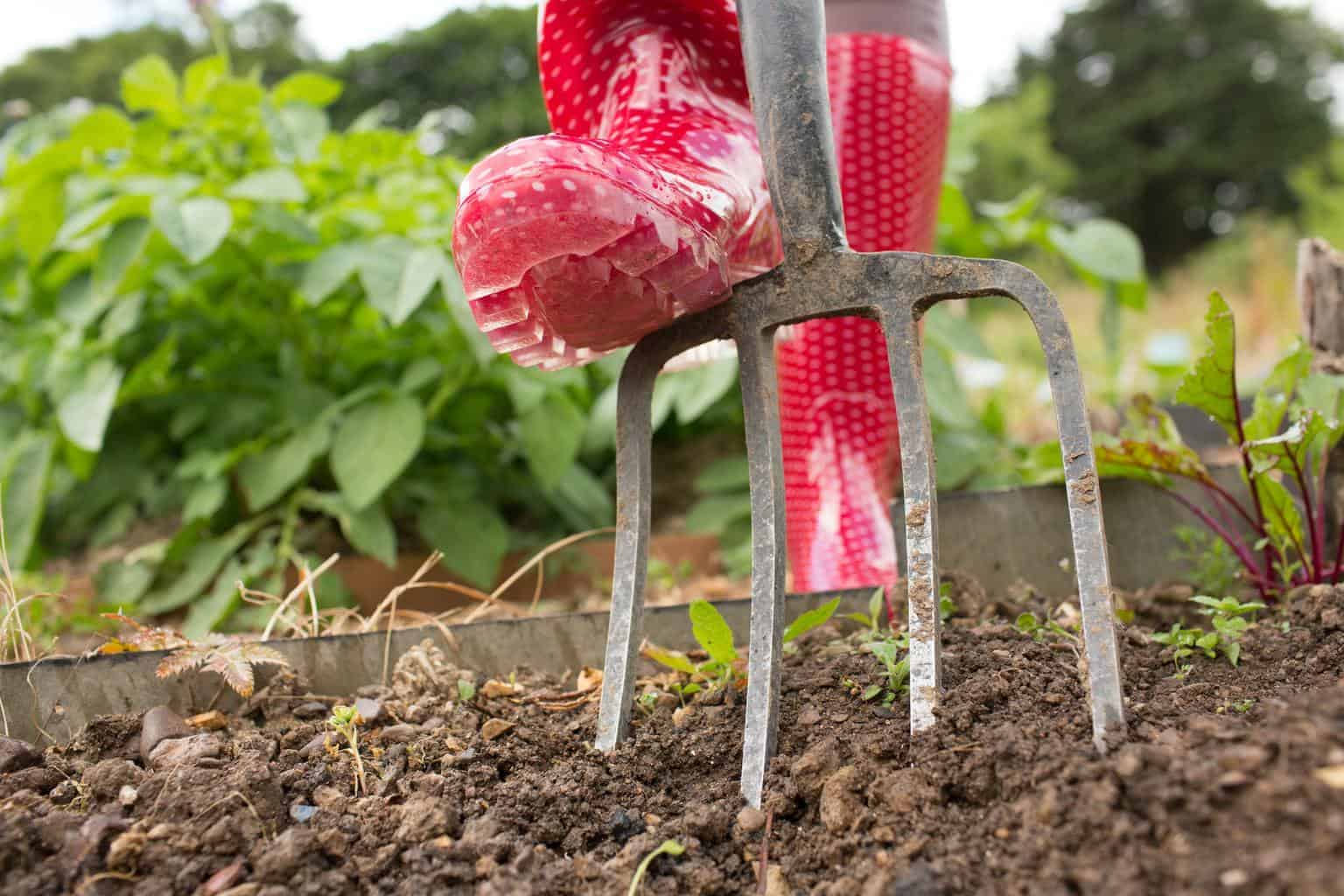 When to Till the Garden