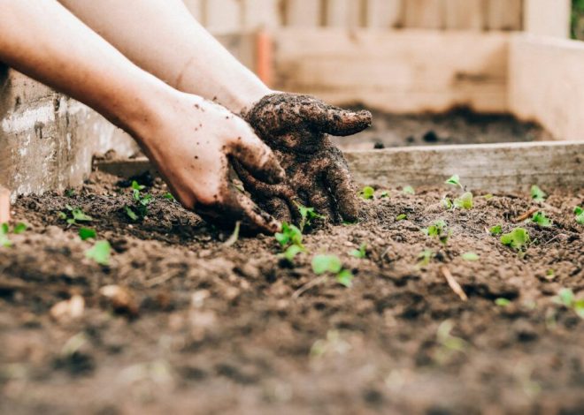 Soil Sterilization: Why it Matters for Gardens and Farms