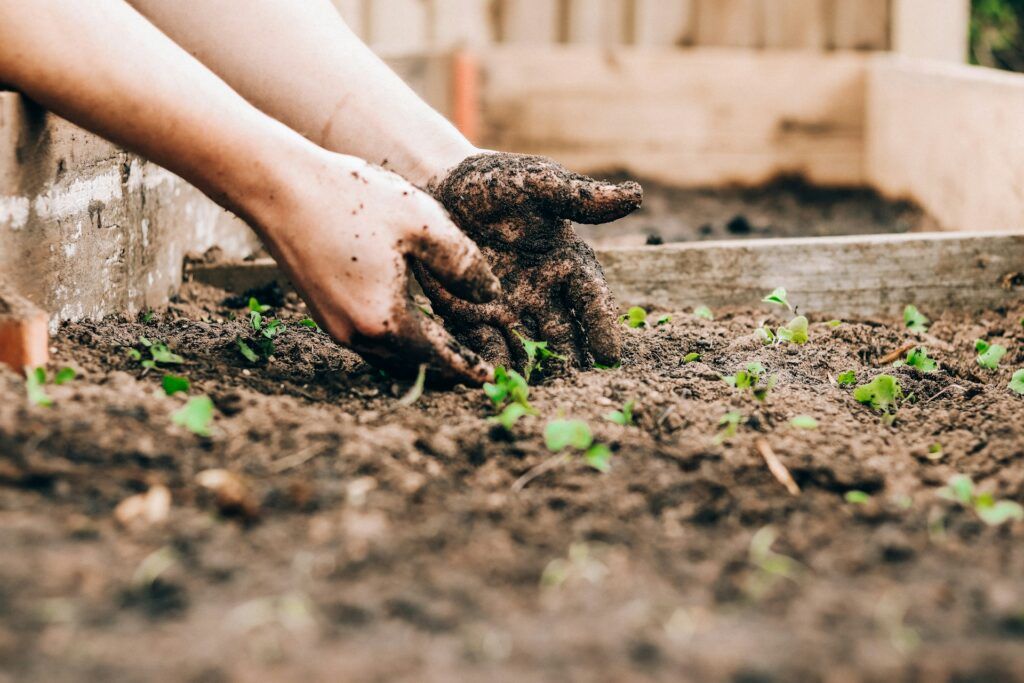 Soil Sterilization: Why it Matters for Gardens and Farms