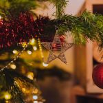 How to keep a Christmas tree fresh indoors