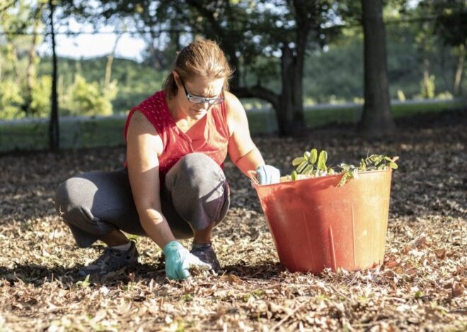 Regenerative Gardening: Cultivating a Thriving Ecosystem in Your Backyard (and Beyond)