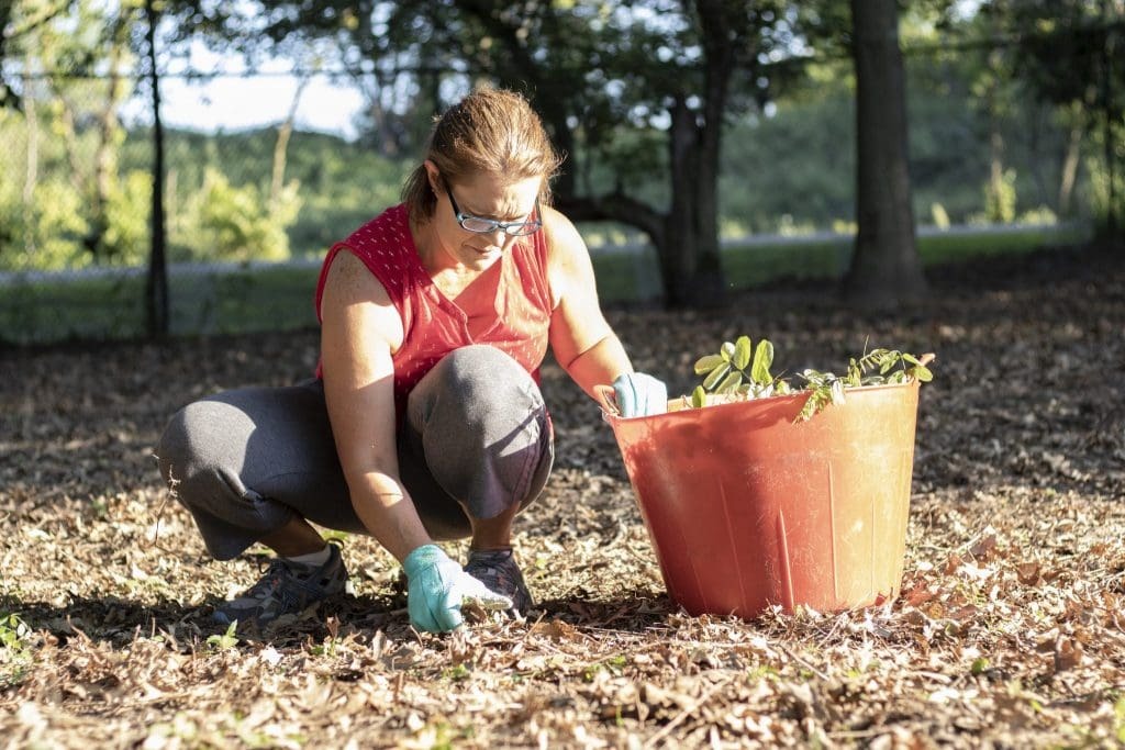 Regenerative Gardening: Cultivating a Thriving Ecosystem in Your Backyard (and Beyond)